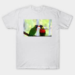 Rainbow Birds T-Shirt